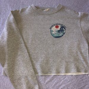 Brandy Melville Sweater Crop